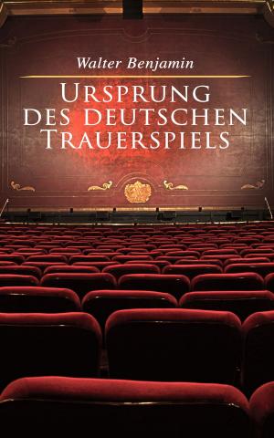 Cover of the book Ursprung des deutschen Trauerspiels by María Cecilia Betancur