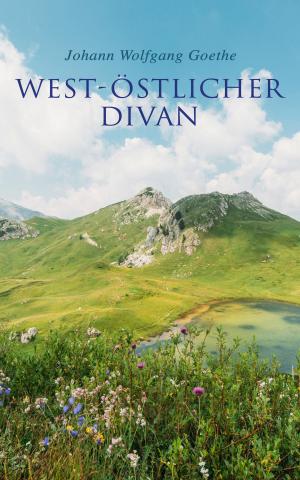 Book cover of West-östlicher Divan