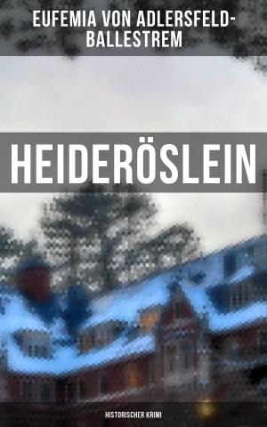 Cover of the book Heideröslein by Jean Paul