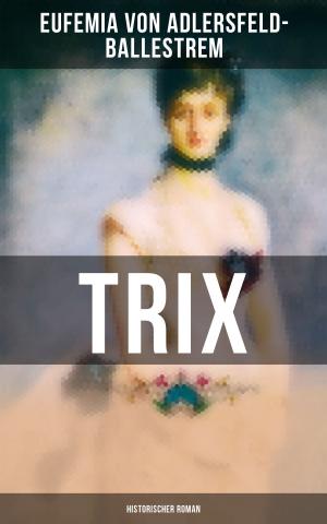 Book cover of Trix (Historischer Roman)