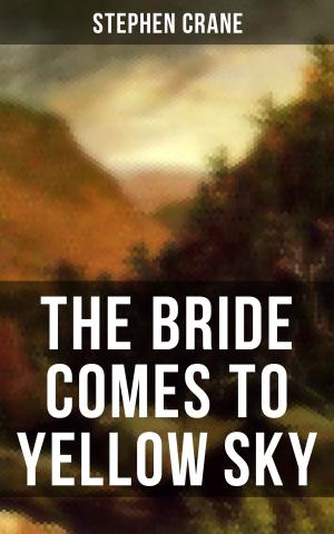 Cover of the book THE BRIDE COMES TO YELLOW SKY by William Patterson White