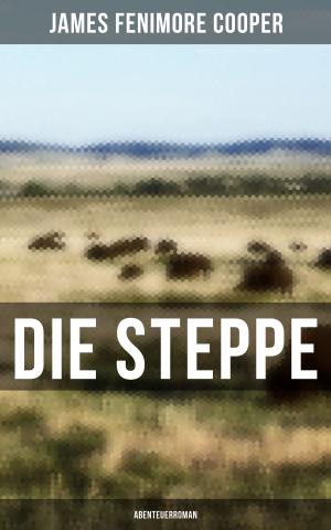 Cover of Die Steppe: Abenteuerroman
