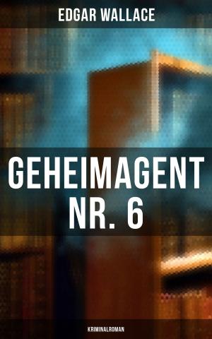 Cover of the book Geheimagent Nr. 6: Kriminalroman by Friedrich Glauser