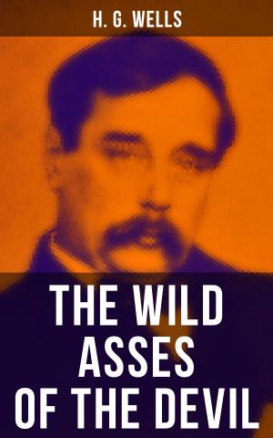 Cover of the book THE WILD ASSES OF THE DEVIL by Hugo Bettauer