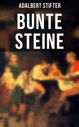 Cover of the book Bunte Steine by Arthur Schnitzler