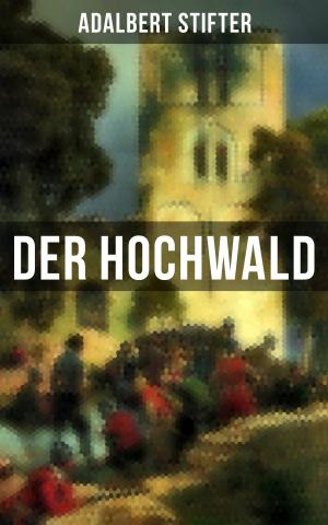 Cover of the book Der Hochwald by Robert Louis Stevenson