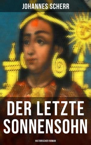 Book cover of Der letzte Sonnensohn: Historischer Roman