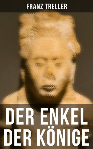 Cover of the book Der Enkel der Könige by James Fenimore Cooper