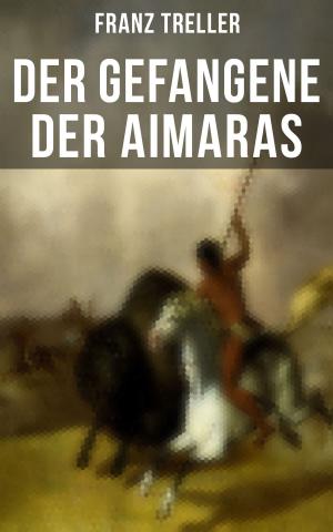 Cover of the book Der Gefangene der Aimaras by Ryan McCord