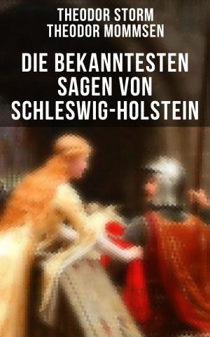 Book cover of Die bekanntesten Sagen von Schleswig-Holstein