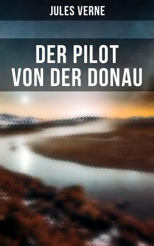 Cover of the book Der Pilot von der Donau by Amédée Achard