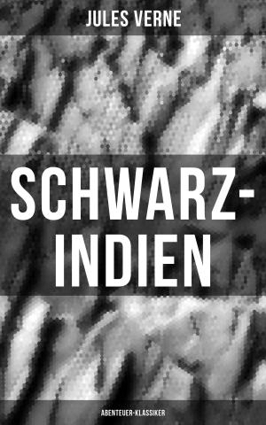 Cover of the book Schwarz-Indien: Abenteuer-Klassiker by Ludwig Feuerbach