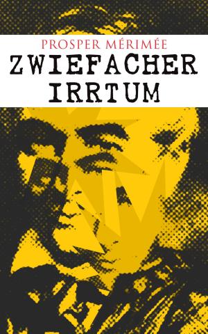 Cover of the book Zwiefacher Irrtum by Sigmund Freud