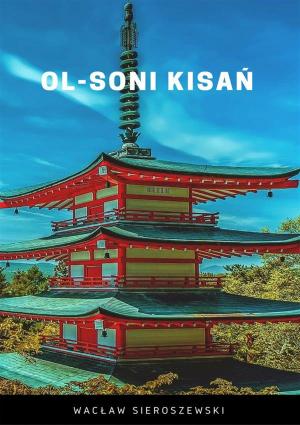 Cover of the book Ol-soni kisań by Kinga Stoj
