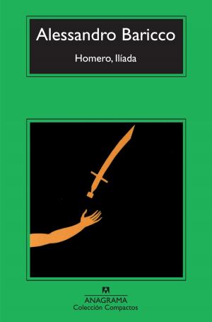 Book cover of Homero, Ilíada