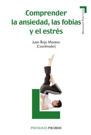 Cover of the book Comprender la ansiedad, las fobias y el estrés by Francisco Javier Herrera Fialli