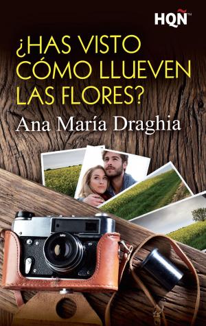 Cover of the book ¿Has visto cómo llueven las flores? by Christine Rimmer