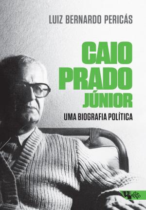 Cover of the book Caio Prado Júnior: uma biografia política by Lincoln Secco, Luiz Bernardo Pericás