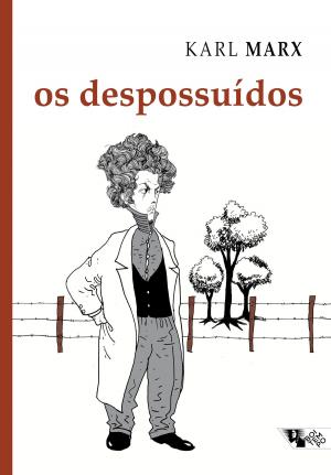 Book cover of Os despossuídos