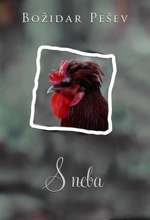 Cover of the book S neba by Slobodan Stanišić