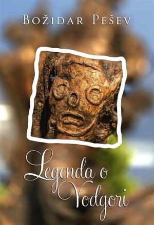 Cover of the book Legenda o Vodgori by AA.VV.