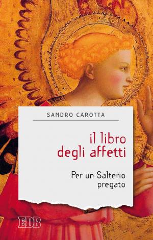 Cover of the book Il Libro degli affetti by Irene McGarvie