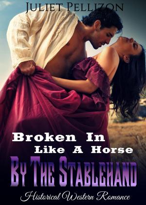 Cover of the book Broken In Like A Horse By The Stablehand by Yarah Isabell