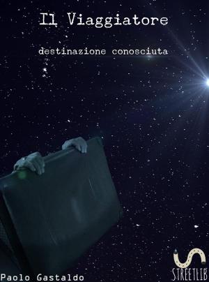 Book cover of Il Viaggiatore