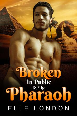 Cover of the book Broken In Public By The Pharaoh by Lovillia Hearst