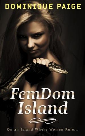 Book cover of FemDom Island