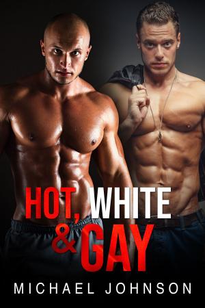 Cover of the book Hot, White, And Gay by HoLLyRod