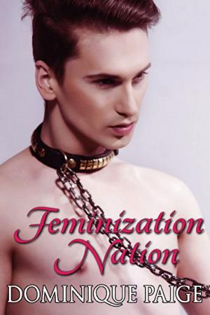Book cover of Feminization Nation