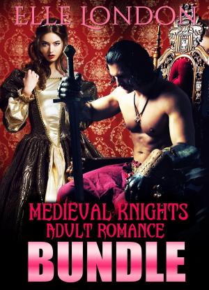 Cover of the book Medieval Knights Adult Romance Bundle by Koos Stadler