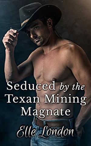 Cover of the book Seduced By The Texan Mining Magnate by Daniella Fetish
