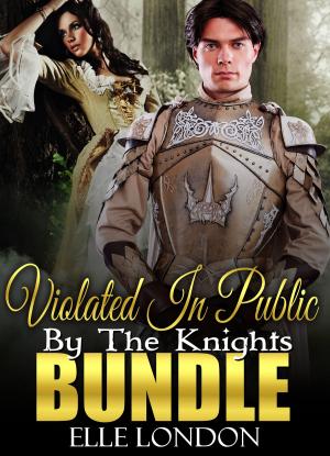 Cover of the book Violated In Public By The Knights: Bundle by Lovillia Hearst