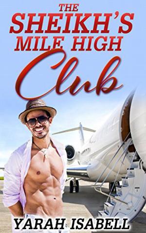 Cover of the book The Sheikh's Mile High Club by Daniella Fetish