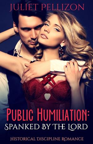 Cover of the book Public Humiliation by Nicola Marsh