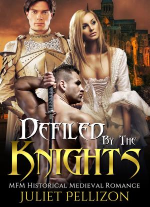 Book cover of Defiled By The Knights