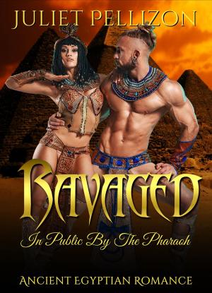 Cover of the book Ravaged In Public By The Pharaoh by Kate E Thompson, L. C. Mcgee, Catherine Kigerl, Charles Thompson, Gwendolyn Van Hout Knechtel