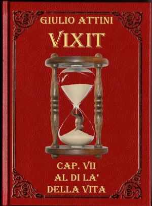 Cover of Cap. VII - Al di là della vita