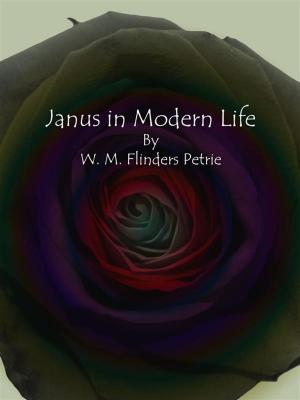 Book cover of Janus in Modern Life