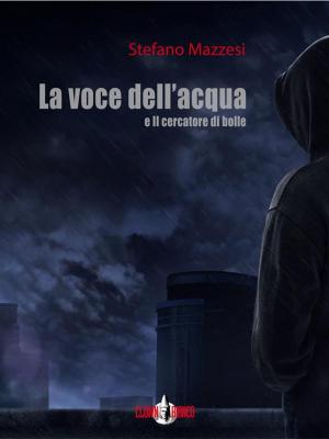 Cover of the book La voce dell'acqua e Il cercatore di bolle by William Esmont