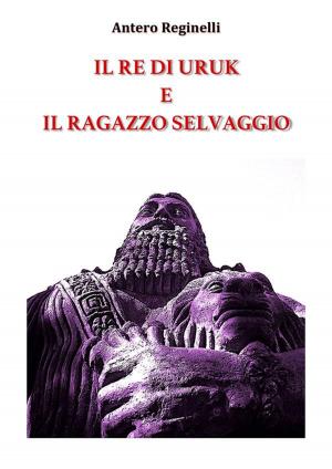Book cover of Il Re di Uruk e il ragazzo selvaggio