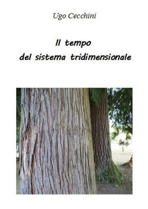 Cover of the book Il tempo del sistema tridimensionale by Charles Nelson