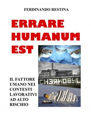 Cover of Errare Humanum Est