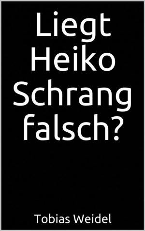 Cover of the book Liegt Heiko Schrang falsch? by Markus Reh