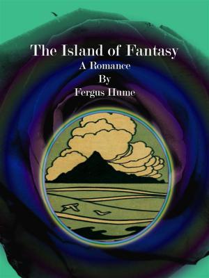 Book cover of The Island of Fantasy
