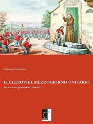 Cover of Il clero nel Mezzogiorno unitario
