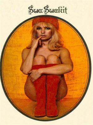 Book cover of Sue Suckit - Adult Erotica