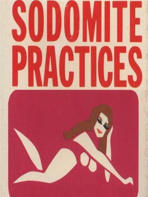 Book cover of Sodomite Practices - Adult Erotica